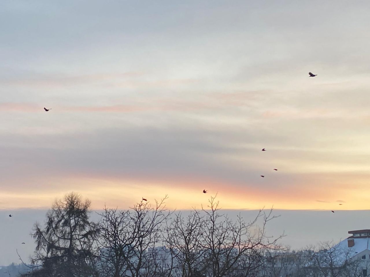 Mieszkanie 3-pokojowe Lublin Śródmieście, ul. Nadbystrzycka. Zdjęcie 23