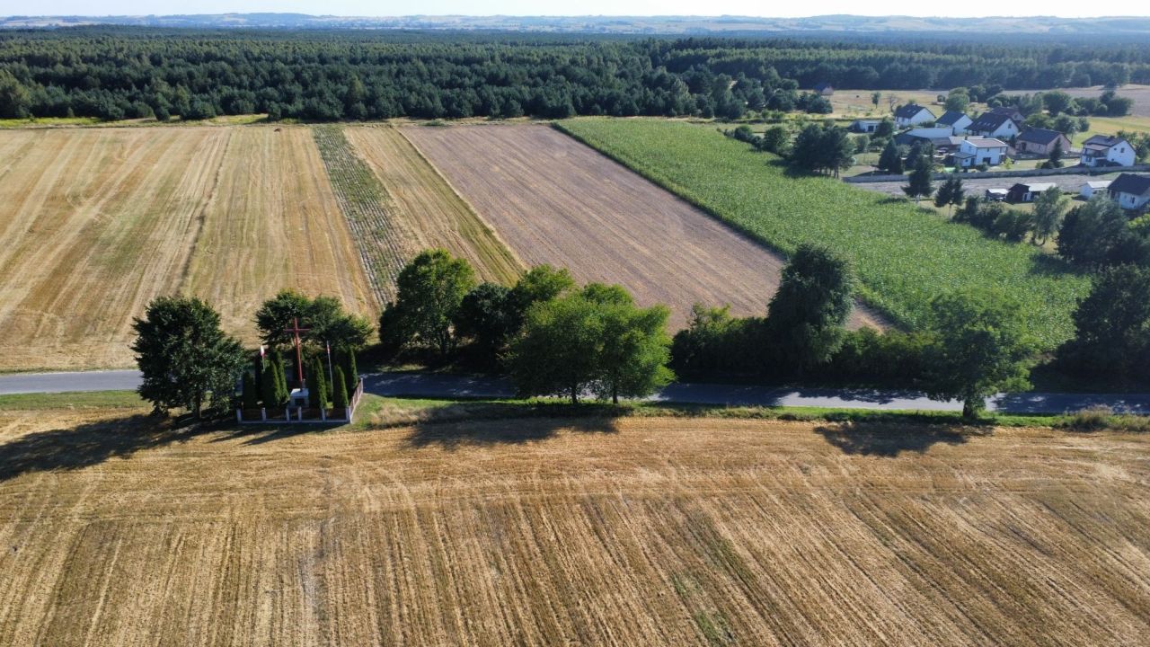 Działka rolna Mełchów. Zdjęcie 3