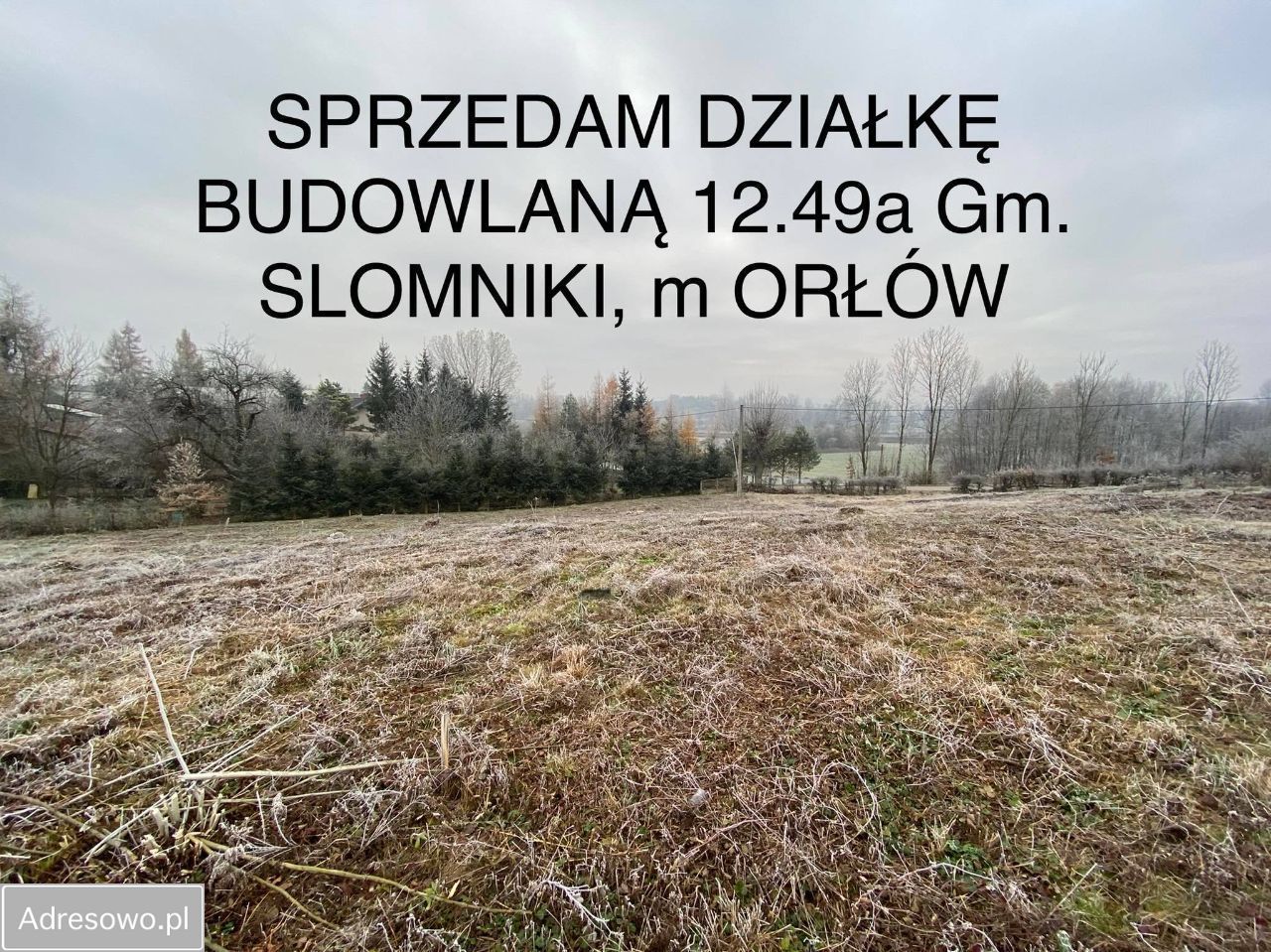 Działka budowlana Orłów