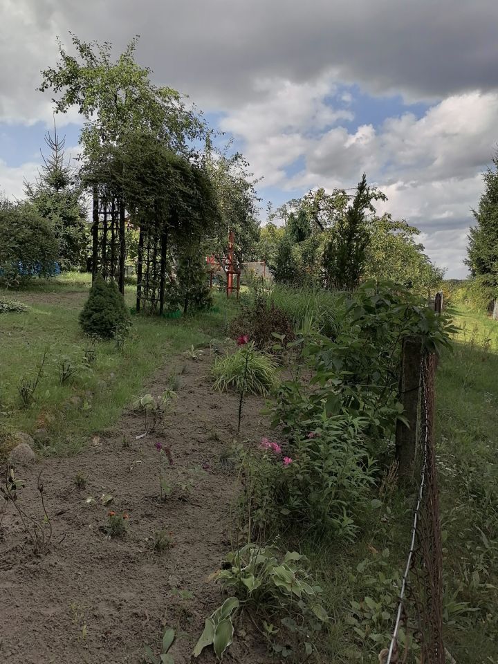 Działka rod Gorzów Wielkopolski Piaski, ul. Żwirowa. Zdjęcie 10