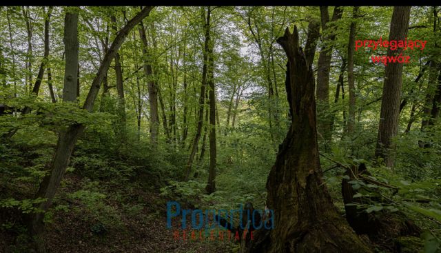 Działka budowlana Kazimierz Dolny, ul. Kwaskowa Góra. Zdjęcie 6