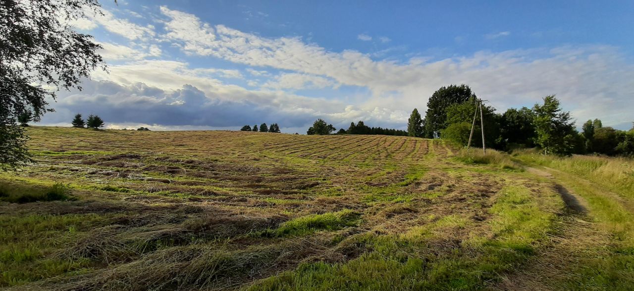 Działka siedliskowa Grotowo. Zdjęcie 2