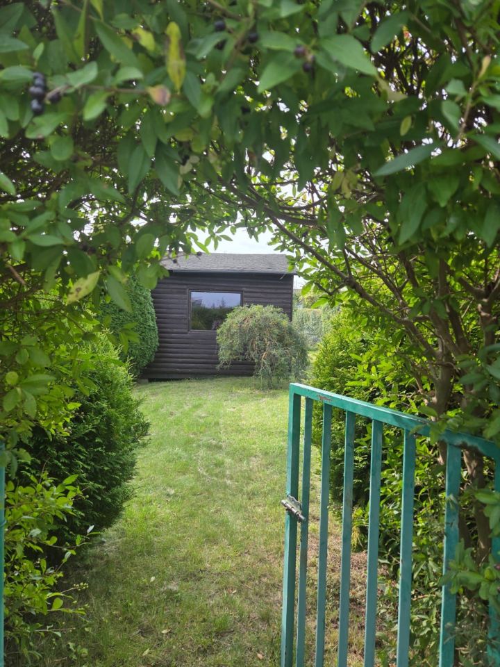 Działka rod Ełk. Zdjęcie 3