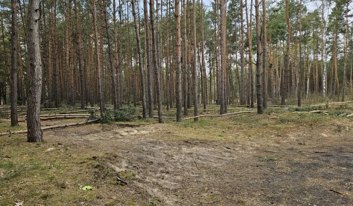 Działka budowlana Solec Kujawski, ul. Garbary