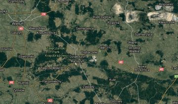 Działka rolna Trębaczew