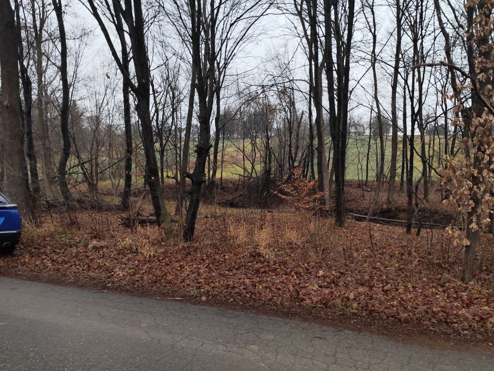 Działka leśna Lipnica Górna. Zdjęcie 7