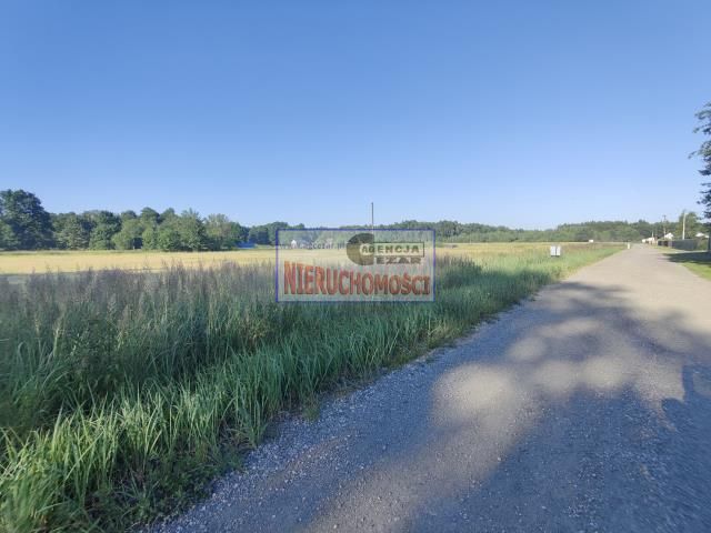 Działka rolno-budowlana Papiernia. Zdjęcie 3