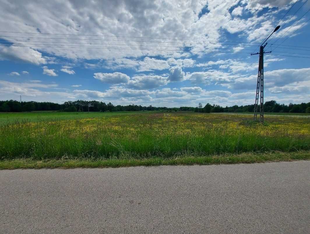 Działka budowlana Czarny Lasek