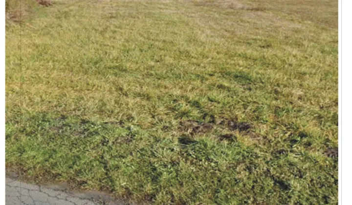 Działka siedliskowa Człekówka