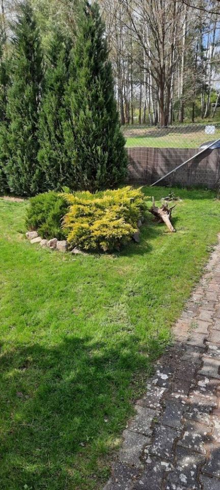 Działka rod Zielona Góra. Zdjęcie 3