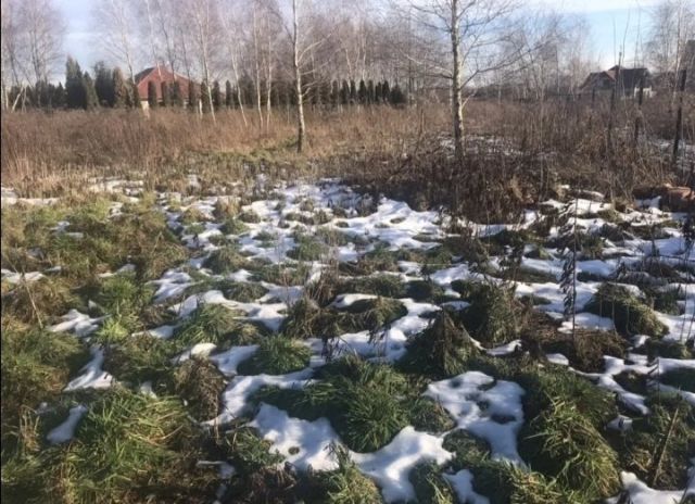 Działka siedliskowa Skotniki. Zdjęcie 1