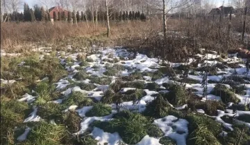 Działka na sprzedaż          
          
            Kiełmina - Mehr