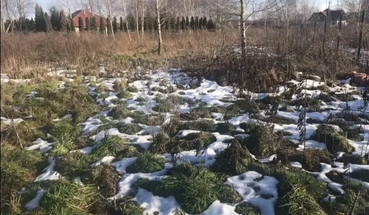 Działka siedliskowa Skotniki