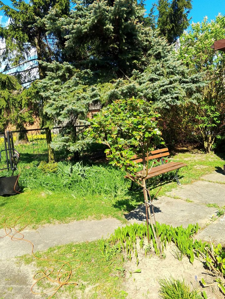 dom wolnostojący, 5 pokoi Brzyków Brzyków-Kolonia. Zdjęcie 7