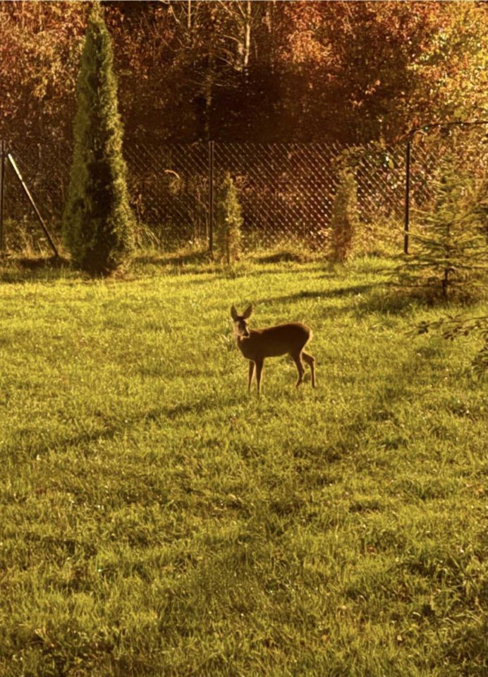dom wolnostojący, 6 pokoi Kolonia Piaski. Zdjęcie 7