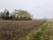 Działka budowlana Józefowo. Zdjęcie 1