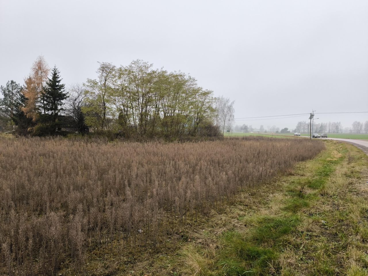 Działka budowlana Józefowo. Zdjęcie 2