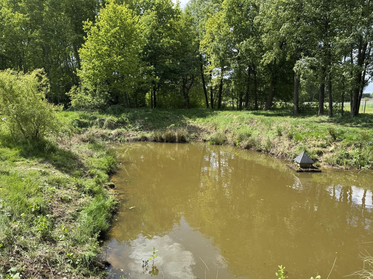 siedlisko, 10 pokoi Sobiesęki Pierwsze Wesółka, Sobiesęki Pierwsze. Zdjęcie 11