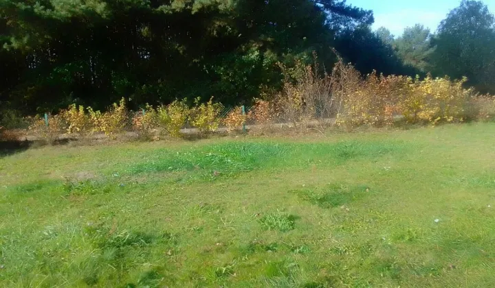 Działka rod Zielona Góra Ochla, ul. Ochla-Kożuchowska