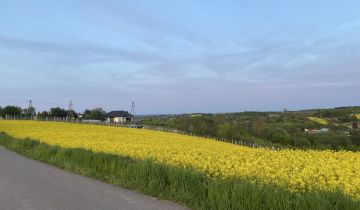 Działka rolna Świrna