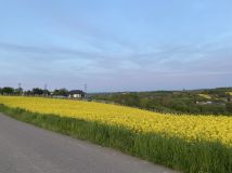 Działka rolna Świrna. Zdjęcie 1