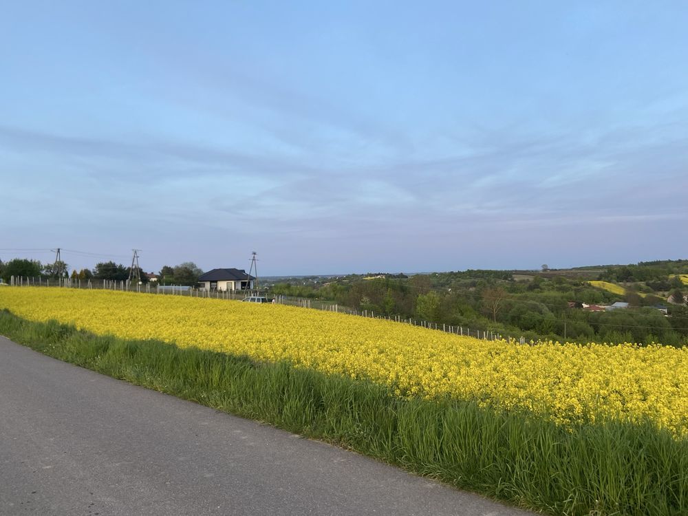 Działka rolna Świrna. Zdjęcie 2