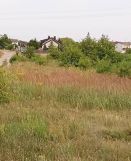 Działka budowlana Golina, ul. Cmentarna. Zdjęcie 2