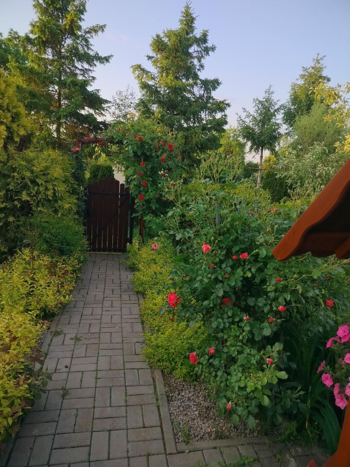 Działka rod Zawiercie Centrum. Zdjęcie 3