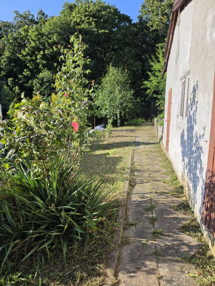 Działka rod Gorzów Wielkopolski. Zdjęcie 3