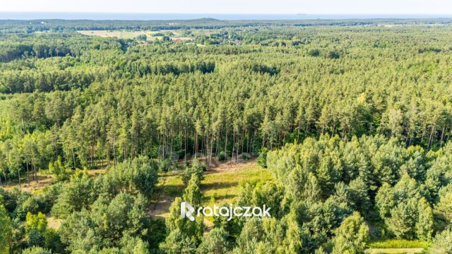 Działka budowlana Sasino, ul. Stara Cegielnia. Zdjęcie 5