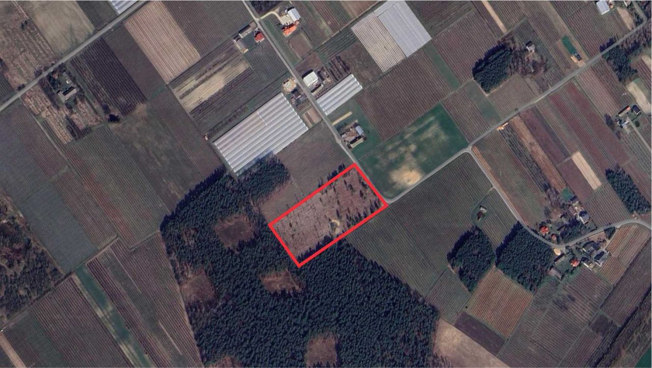 Działka rolna Lekarcice. Zdjęcie 5