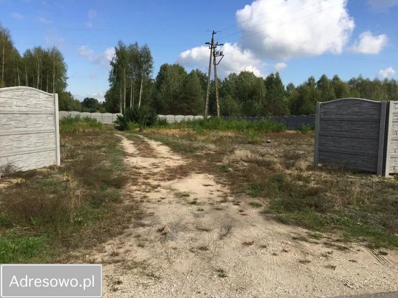 Działka inwestycyjna Słubica A. Zdjęcie 5