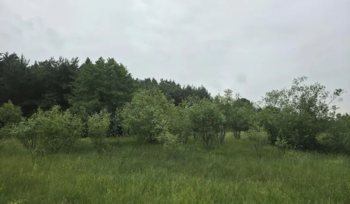 Działka rekreacyjna Lechanice