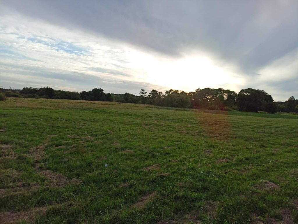 Działka rolna Lipowica. Zdjęcie 8