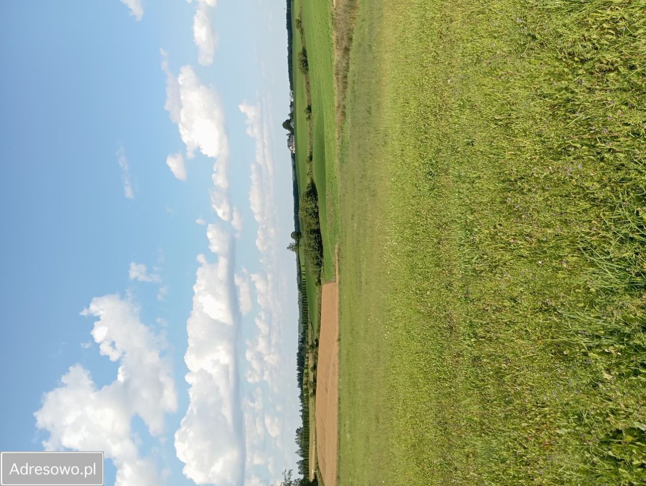 Działka rolno-budowlana Krasnogruda. Zdjęcie 8