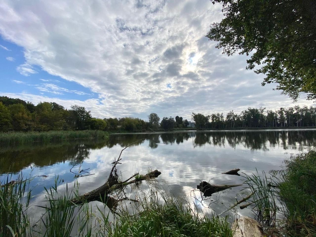 Mieszkanie 1-pokojowe Szamotuły, ul. Wojska Polskiego. Zdjęcie 7