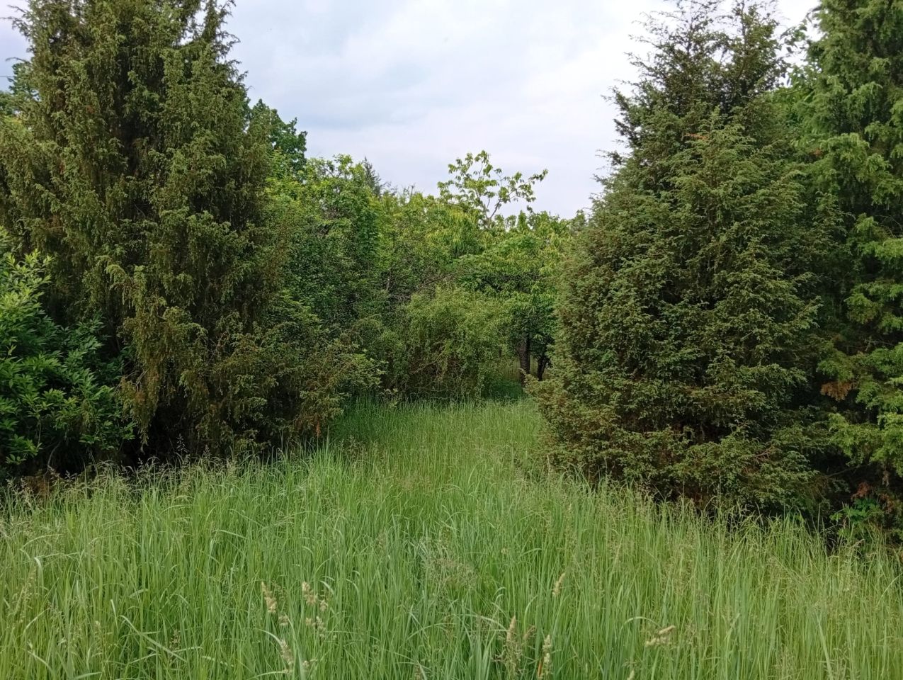 Mieszkanie 2-pokojowe Czaplice. Zdjęcie 19