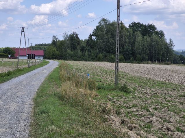 Działka rolno-budowlana Szynwałd. Zdjęcie 22