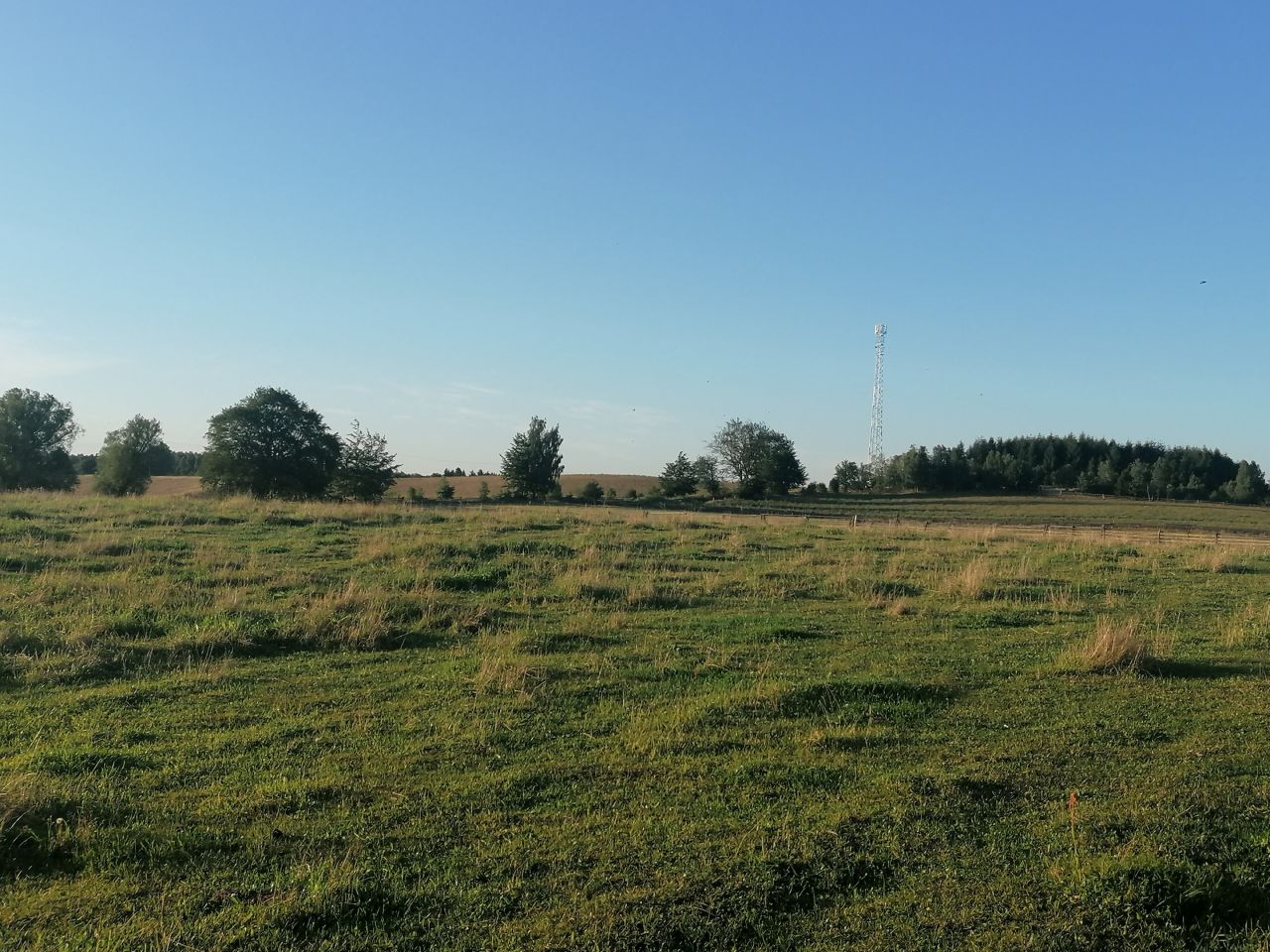 Działka budowlana Pierszczewo. Zdjęcie 8