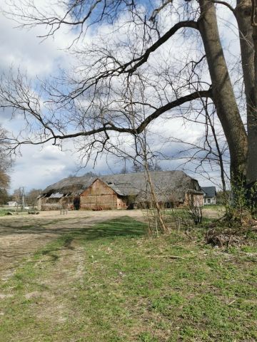 Nieruchomość komercyjna Stare Zadybie. Zdjęcie 1