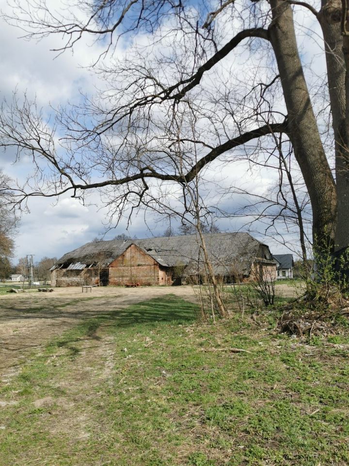 Nieruchomość komercyjna Stare Zadybie