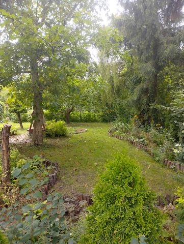 Działka rekreacyjna Toruń, ul. Rudacka. Zdjęcie 1