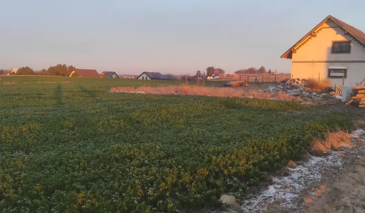 Działka budowlana Luzino, ul. Rumiankowa