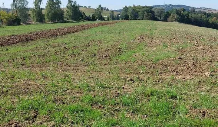 Działka budowlana Jastrzębia