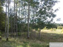 Działka budowlana Kunice. Zdjęcie 1
