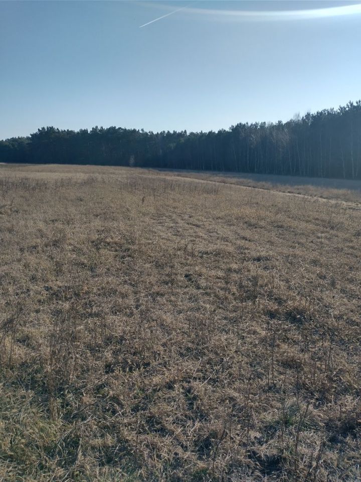 Działka siedliskowa Dziadowice-Folwark. Zdjęcie 6