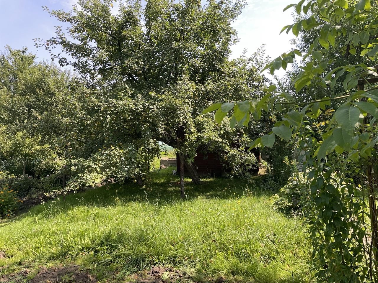 Działka rod Rzeszów Zalesie. Zdjęcie 3