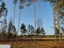 Działka rekreacyjna Rogóźno. Zdjęcie 4