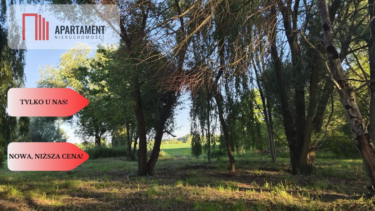 Działka inwestycyjna Ratowice. Zdjęcie 8