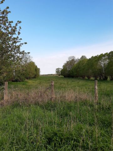 Działka rolna Lędzin. Zdjęcie 1